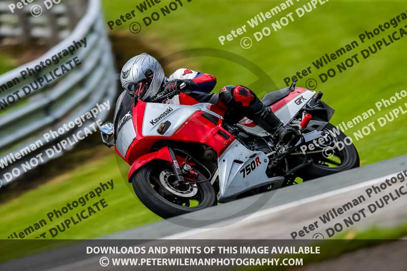 PJ Motorsport 2019;anglesey;brands hatch;cadwell park;croft;donington park;enduro digital images;event digital images;eventdigitalimages;mallory;no limits;oulton park;peter wileman photography;racing digital images;silverstone;snetterton;trackday digital images;trackday photos;vmcc banbury run;welsh 2 day enduro